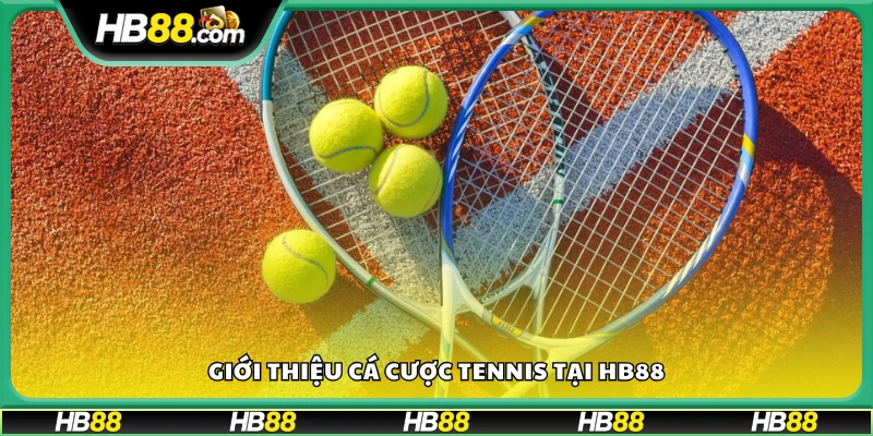 Khám phá thế giới cá cược Tennis đầy kịch tính tại Hb 88