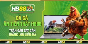 Đá gà ăn tiền thật Hb88 – Trận đấu gay cấn thắng lớn liền tay