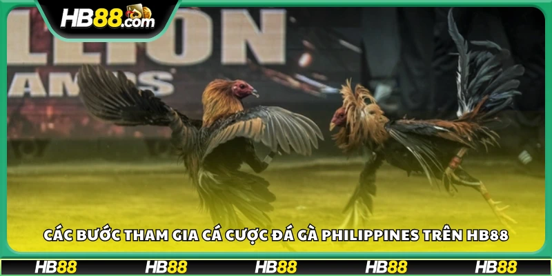 Hướng dẫn tham gia đá gà tại Hb88 
